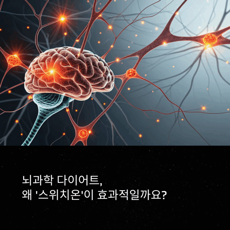 뇌과학 다이어트 원리 — 호르몬 4가지의 중요도